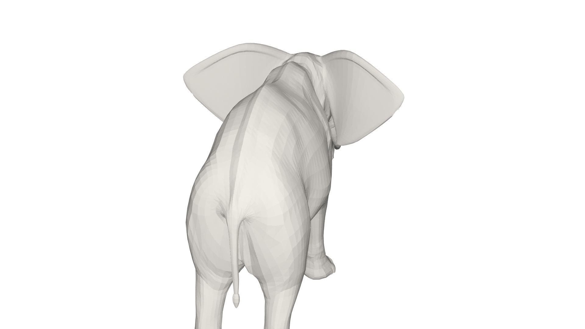 Elephant with long tusks 3D model_5