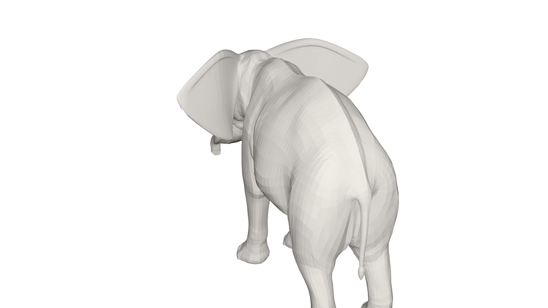 Elephant with long tusks 3D model_6