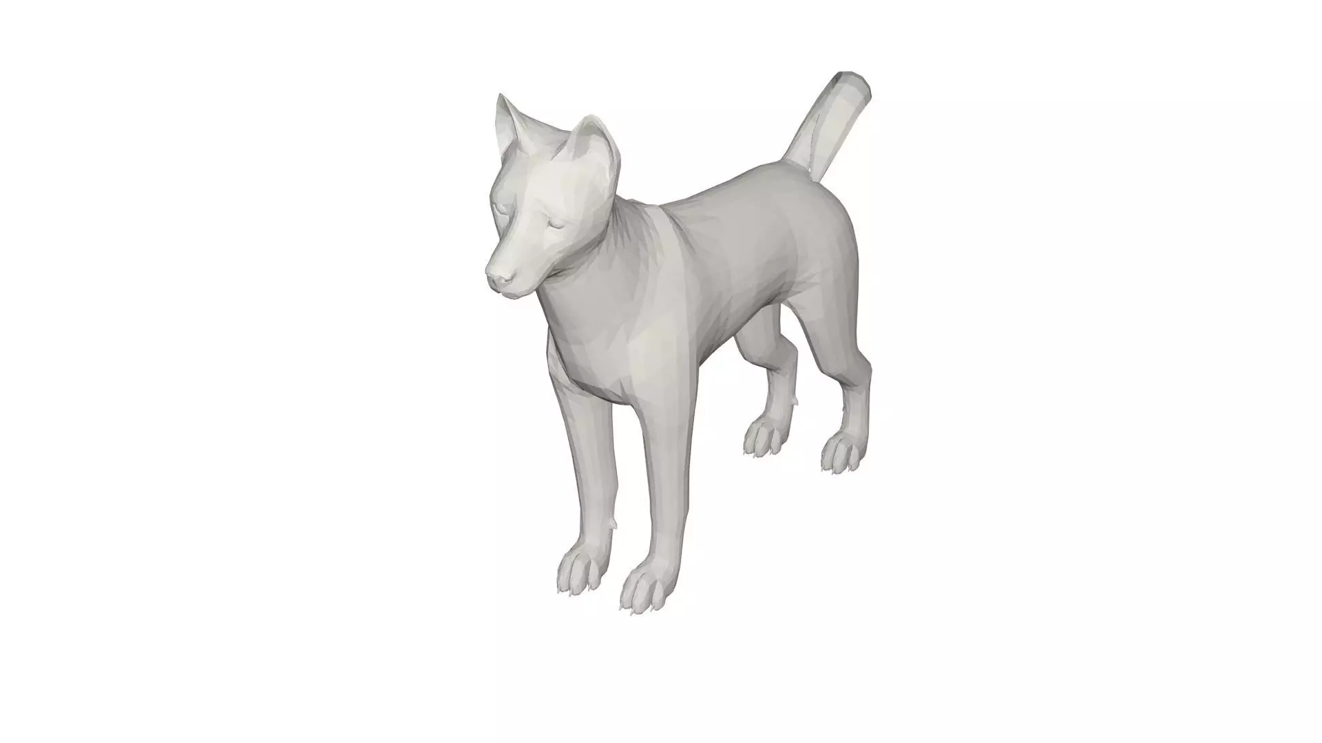 Husky chihuahua dog 3D model