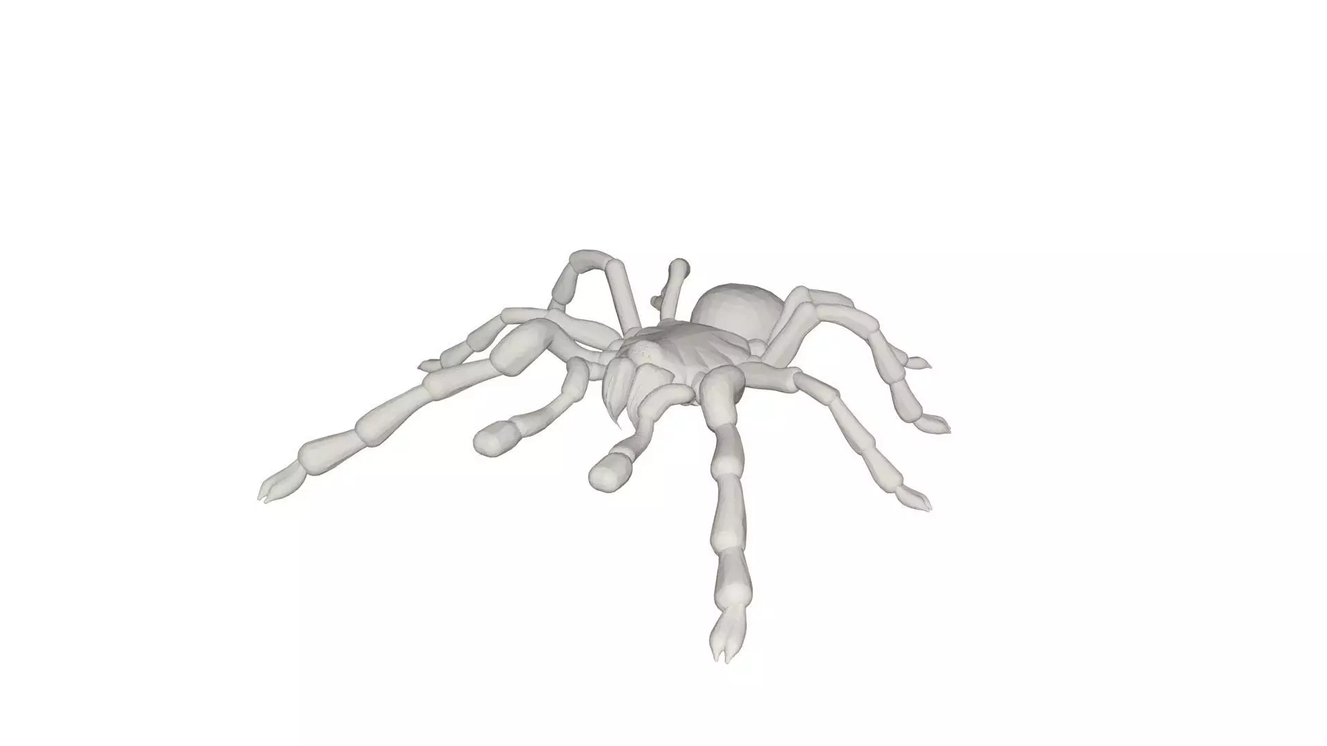 Tarantulas spider 3D model