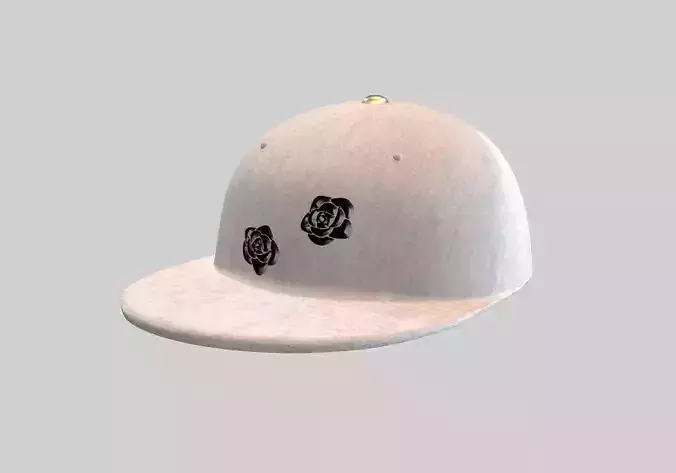 white stylistic cap