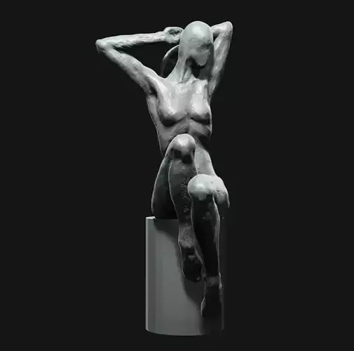 Sculpt 6 of 1000 Sculpts in a year 3D print model