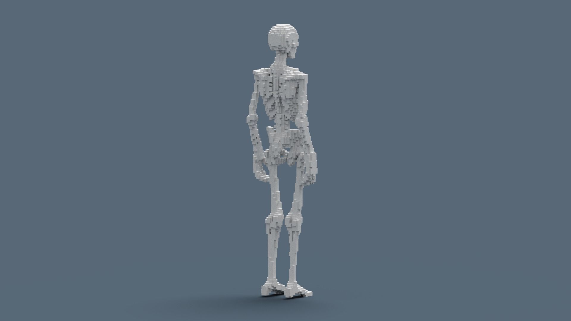 Voxel Skeleton Low-poly 3D model_14