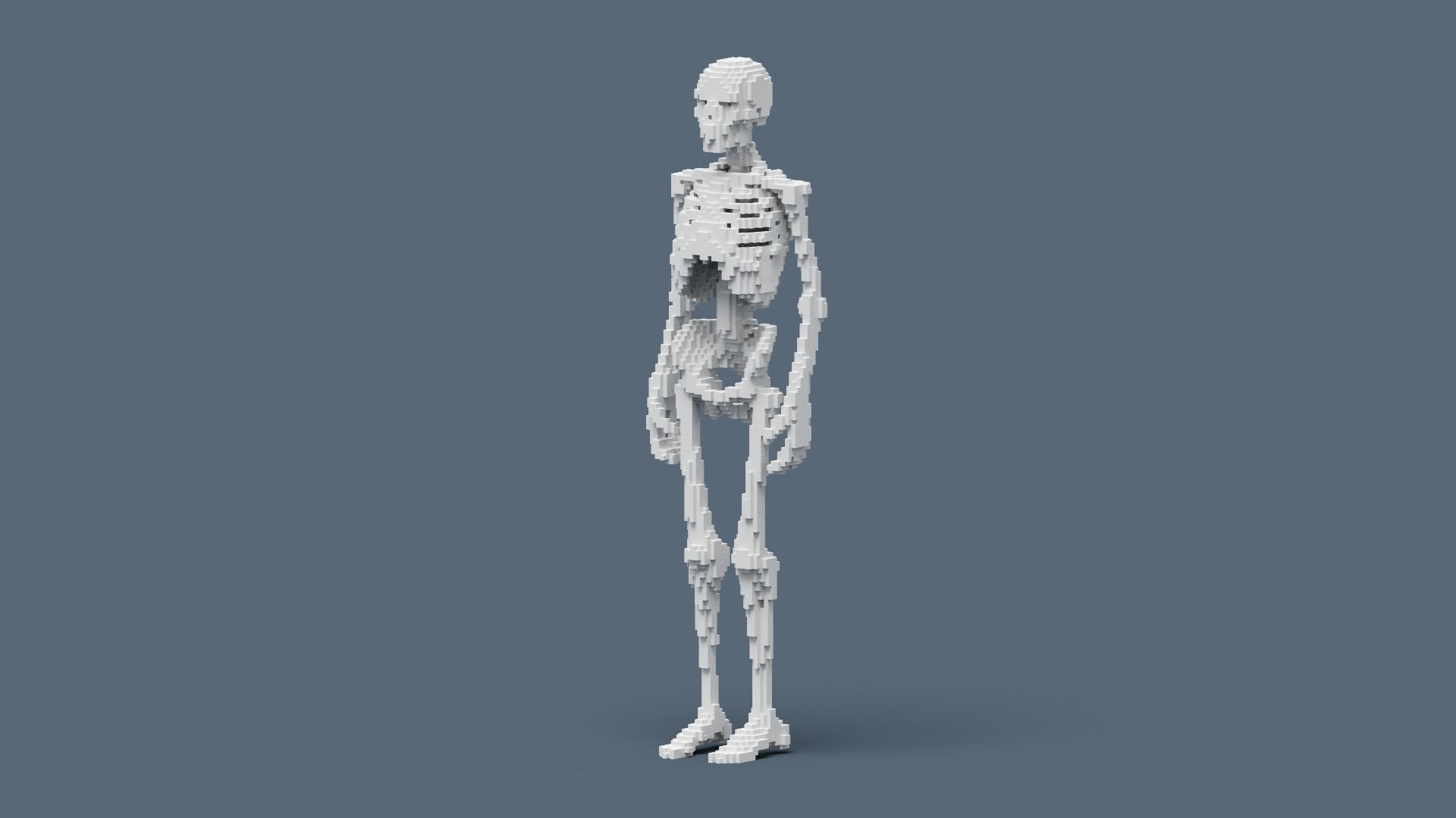Voxel Skeleton Low-poly 3D model_8