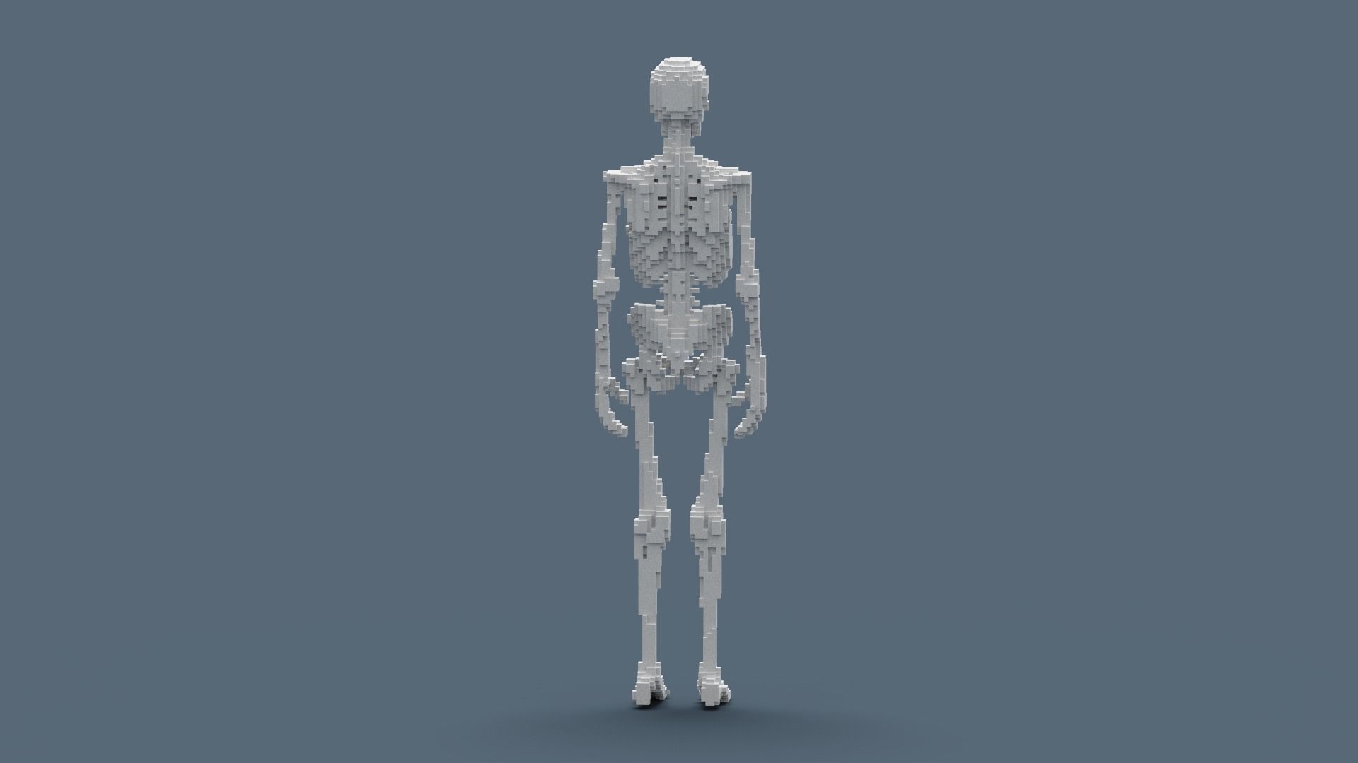 Voxel Skeleton Low-poly 3D model_13