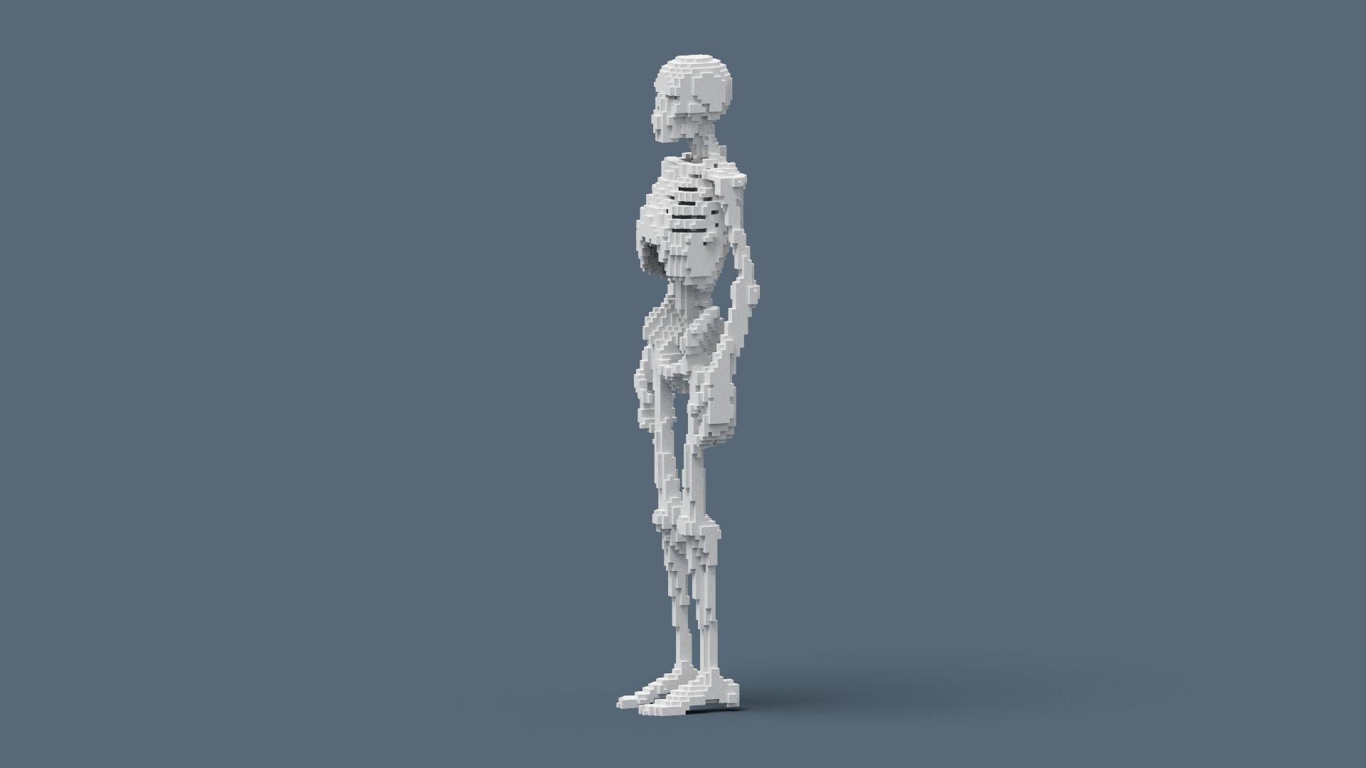 Voxel Skeleton Low-poly 3D model_9