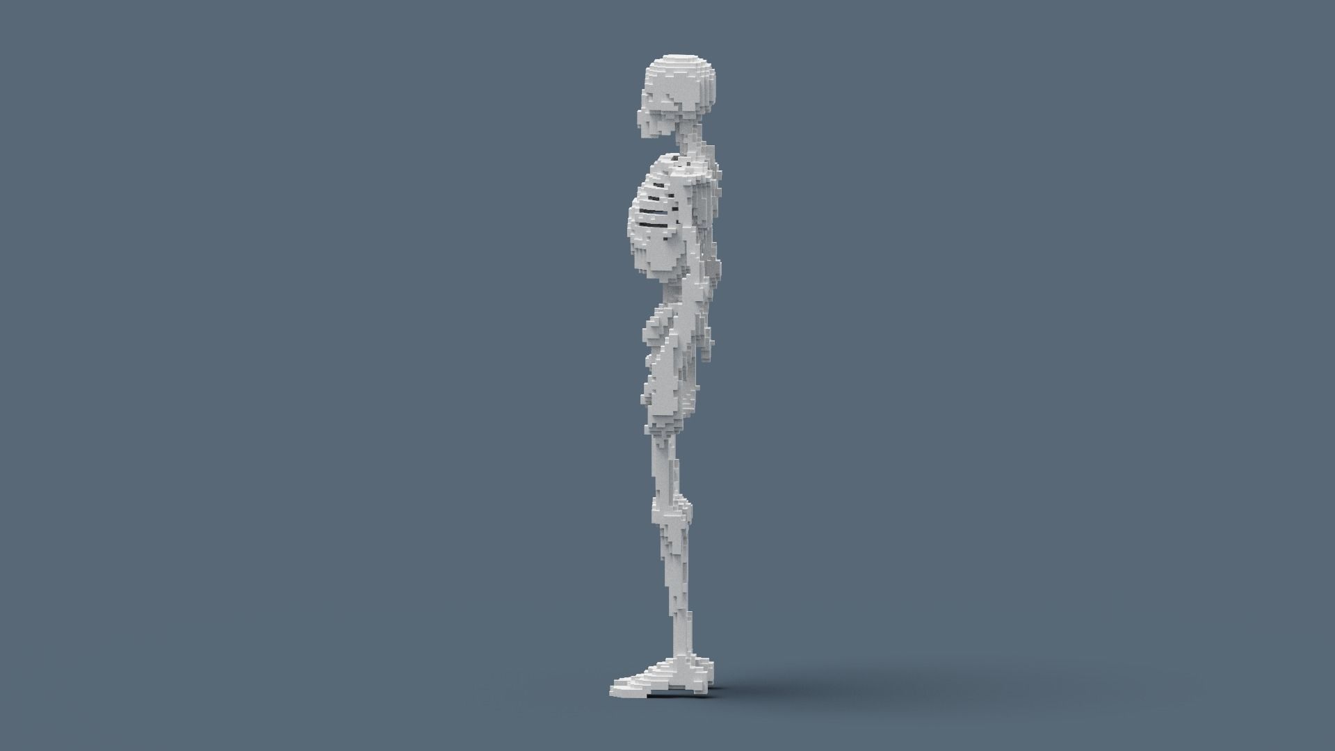 Voxel Skeleton Low-poly 3D model_10