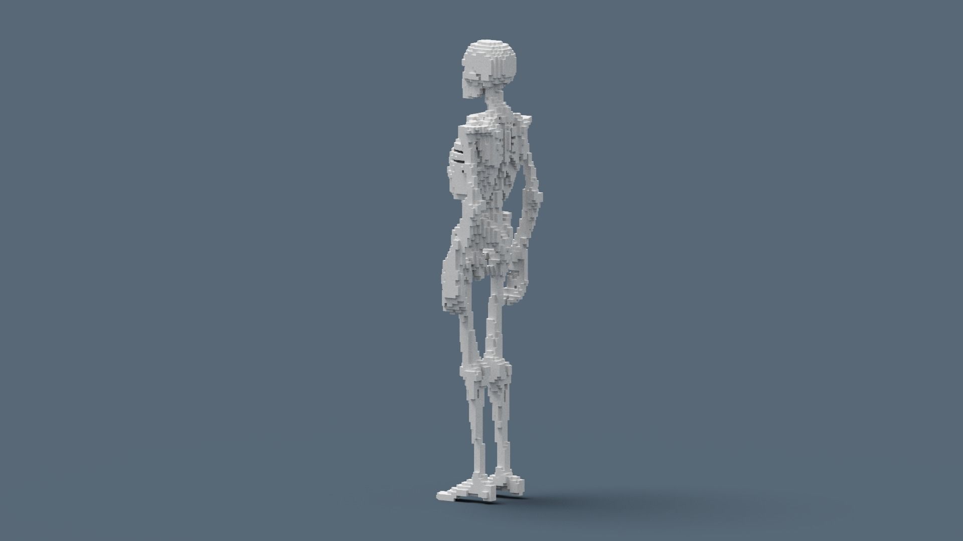 Voxel Skeleton Low-poly 3D model_11