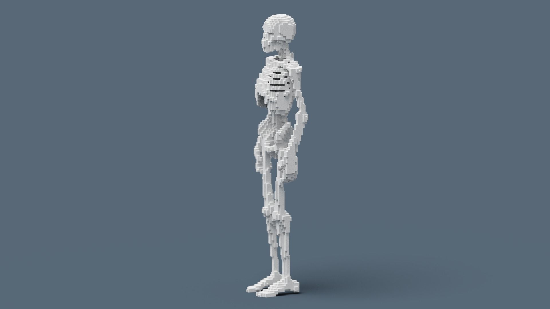 Voxel Skeleton Low-poly 3D model_4