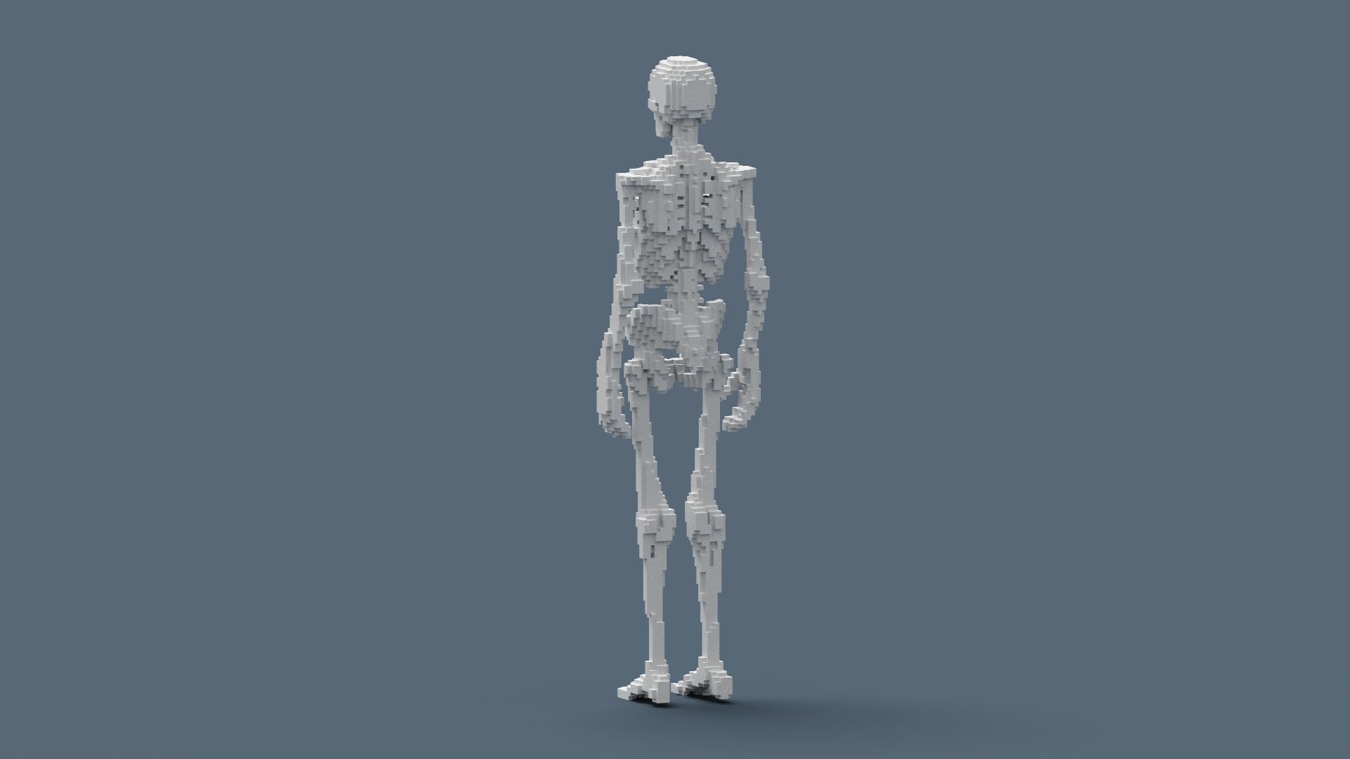 Voxel Skeleton Low-poly 3D model_12