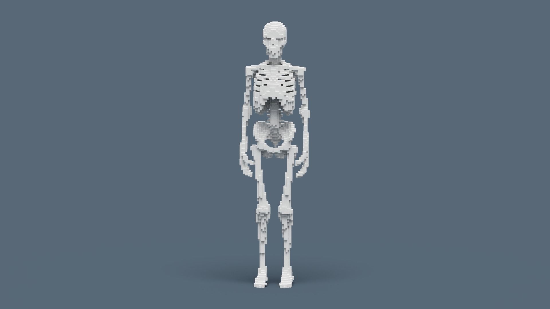 Voxel Skeleton Low-poly 3D model_7