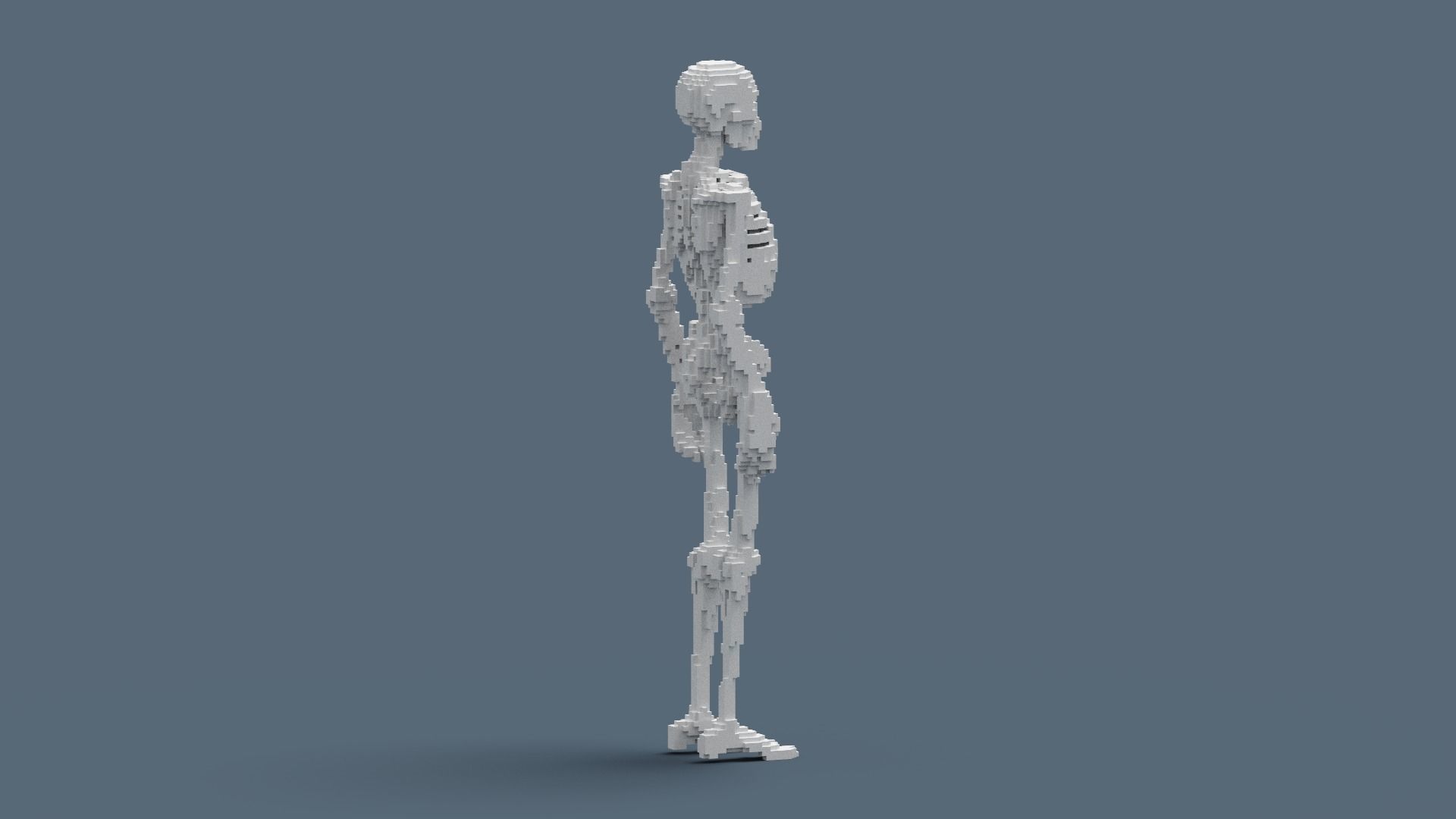 Voxel Skeleton Low-poly 3D model_15