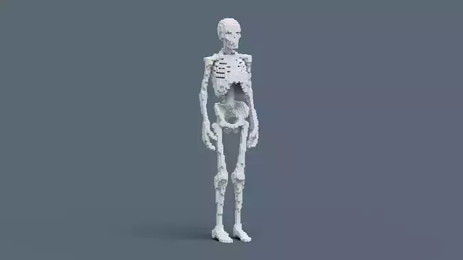 Voxel Skeleton Low-poly 3D model