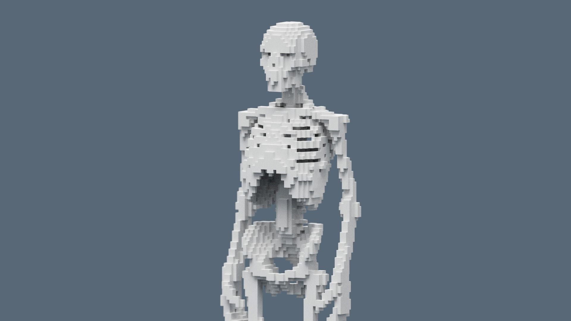 Voxel Skeleton Low-poly 3D model_6