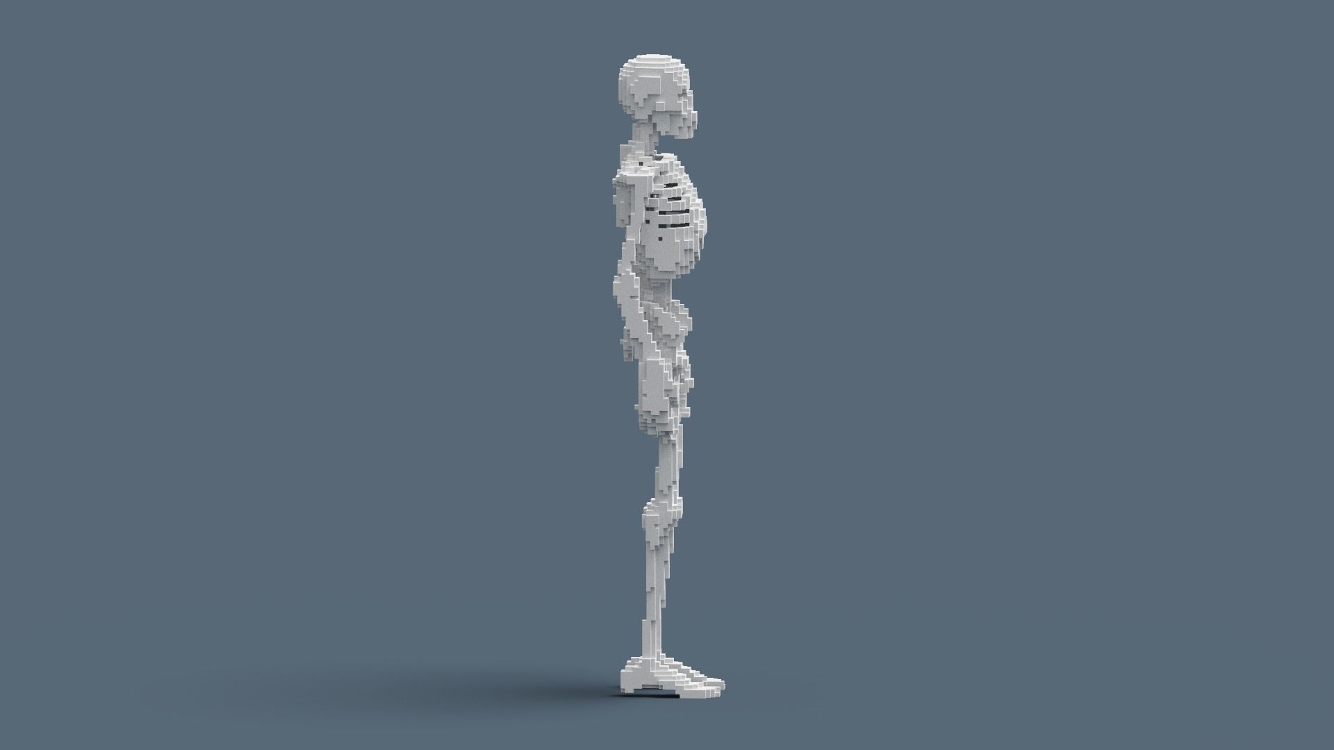 Voxel Skeleton Low-poly 3D model_16