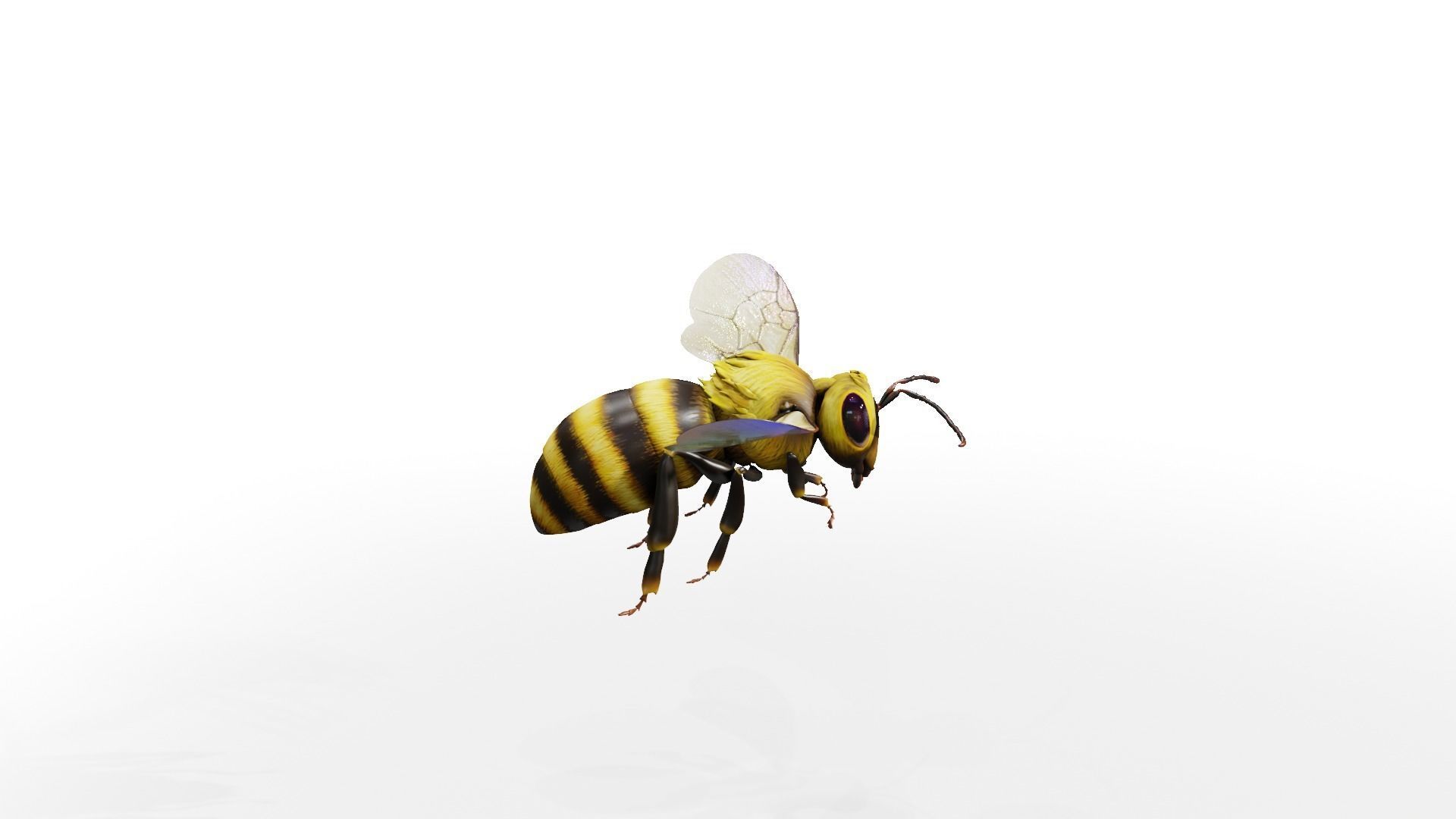 Detailed Animated Buzzing Honey Bee 3D model_15