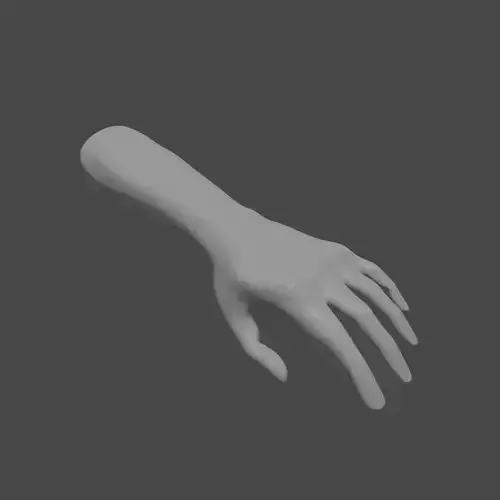 Right  Human Hand