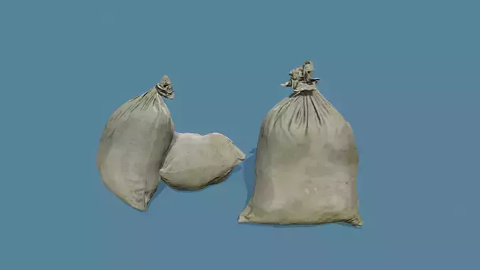 3D Scan Old Bag 04
