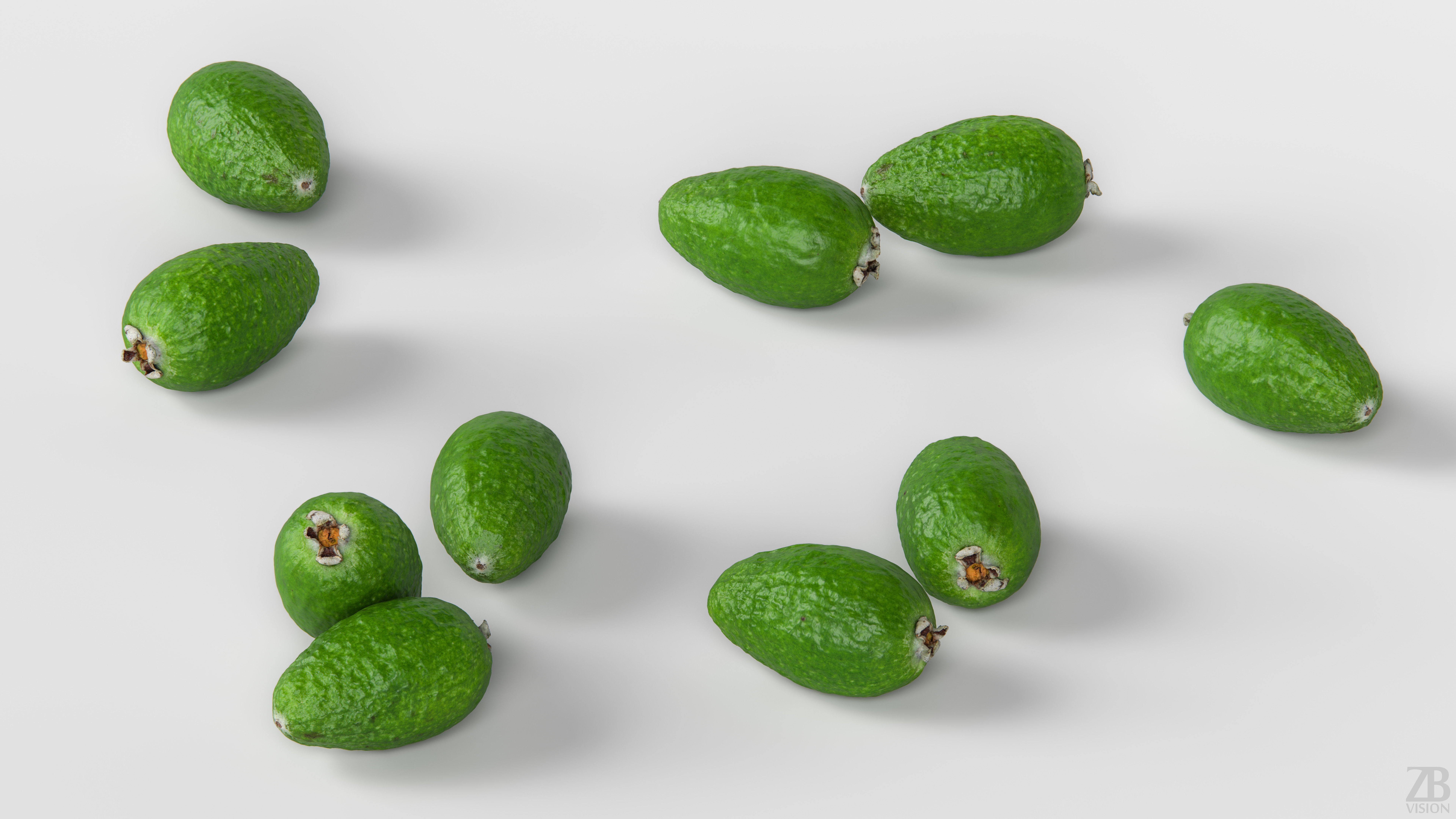 Feijoa 3D model_2