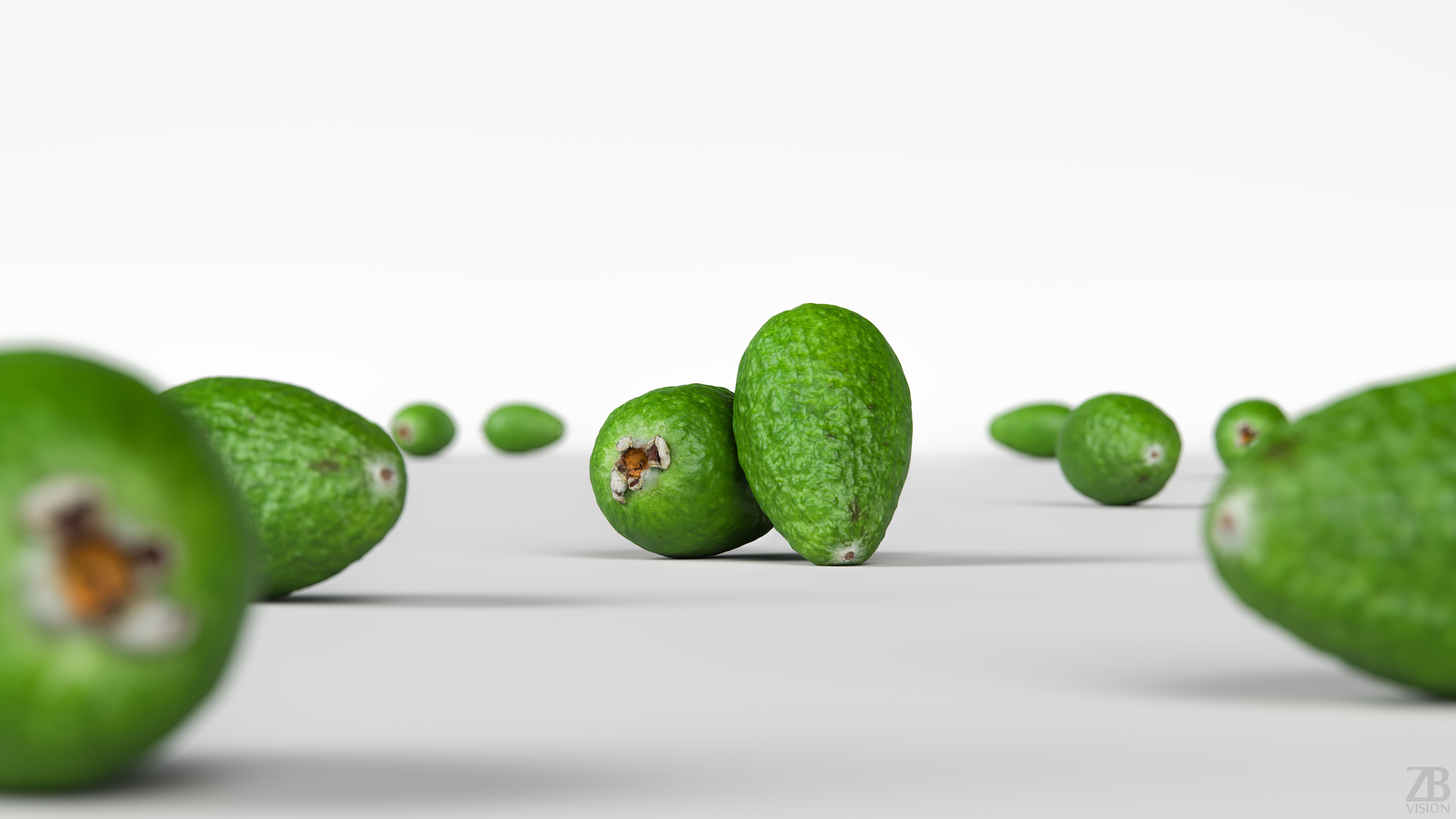 Feijoa 3D model_1