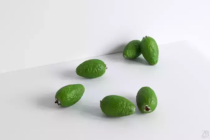 Feijoa 3D model