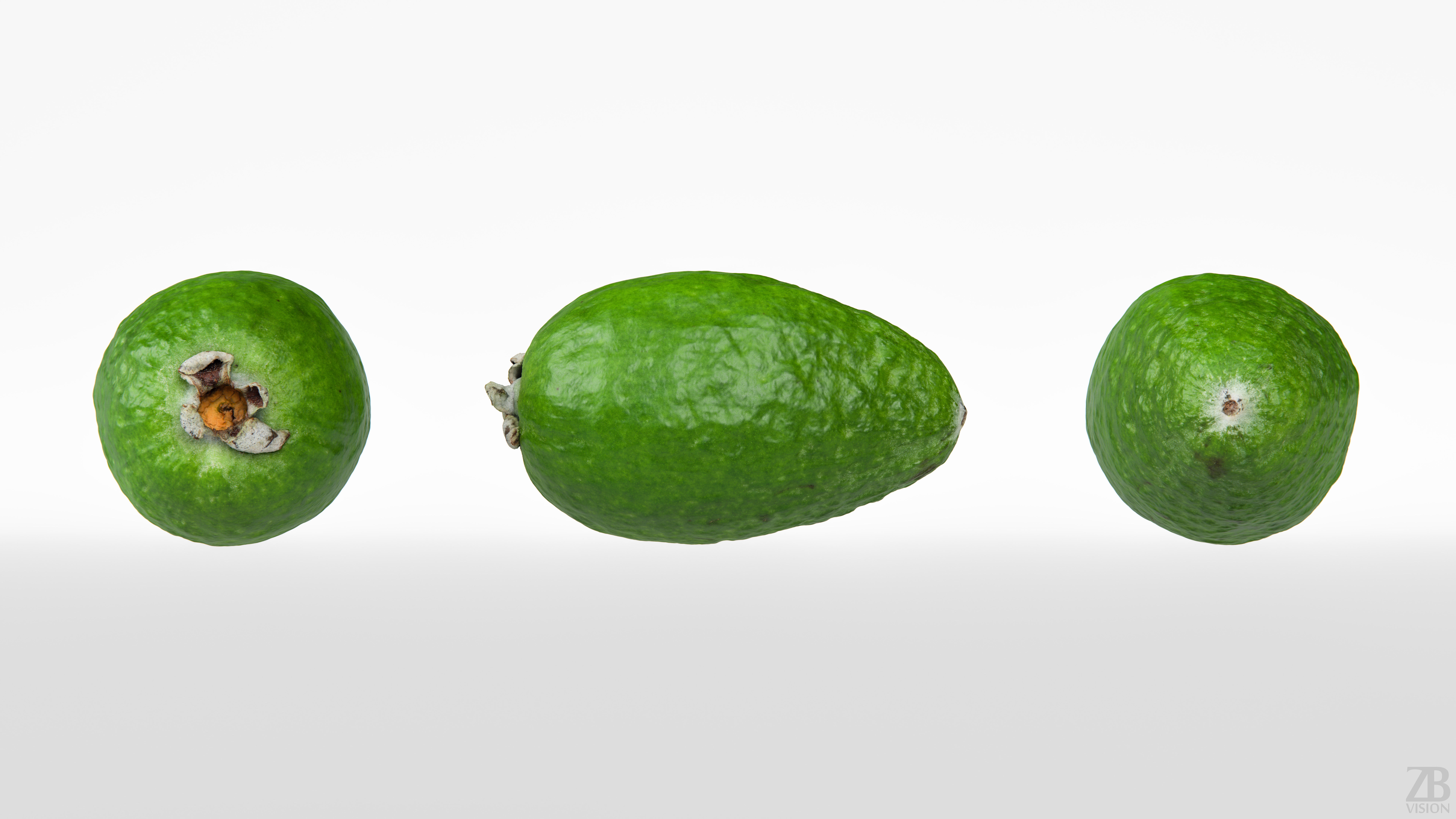 Feijoa 3D model_4