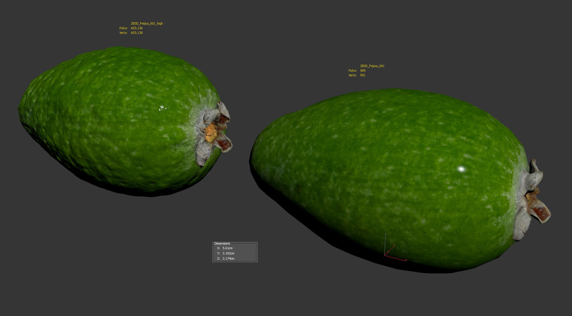 Feijoa 3D model_5