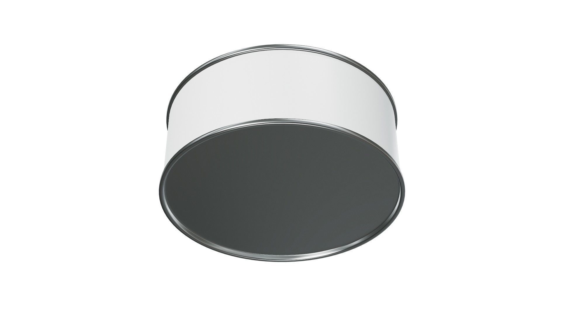 Tuna Tin Can Mock Up 3D model_15