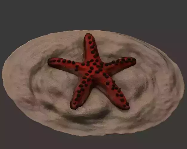Starfish Seastar chocolate