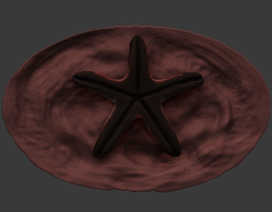 Starfish Seastar chocolate 3D print model_1