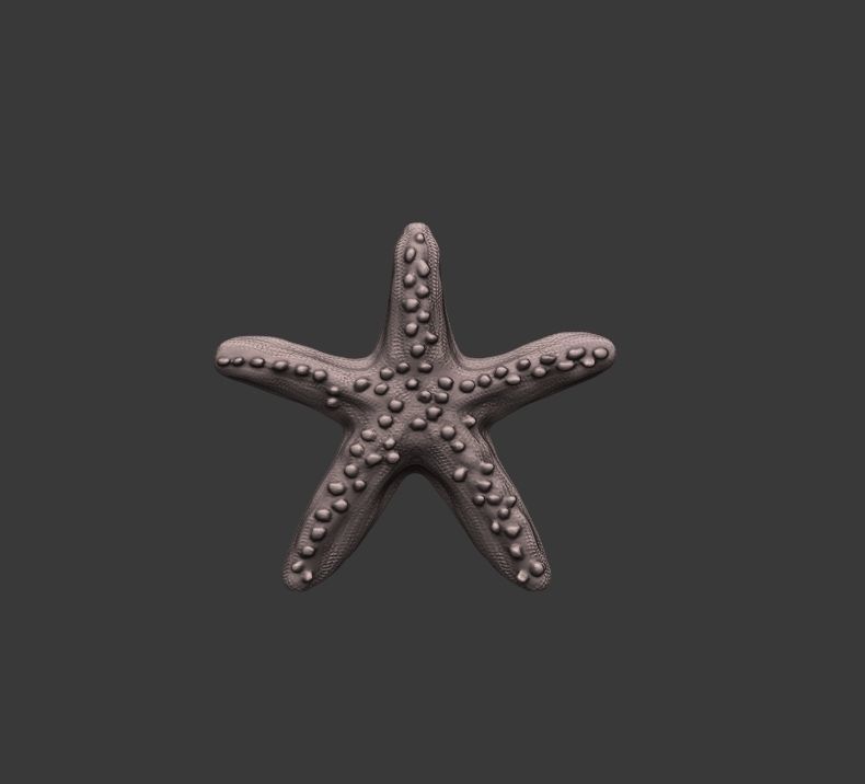 Starfish Seastar chocolate 3D print model_2