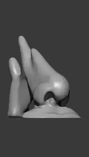 Nose Model