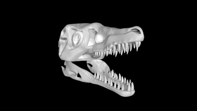 Velociraptor skull Low-poly 3D model