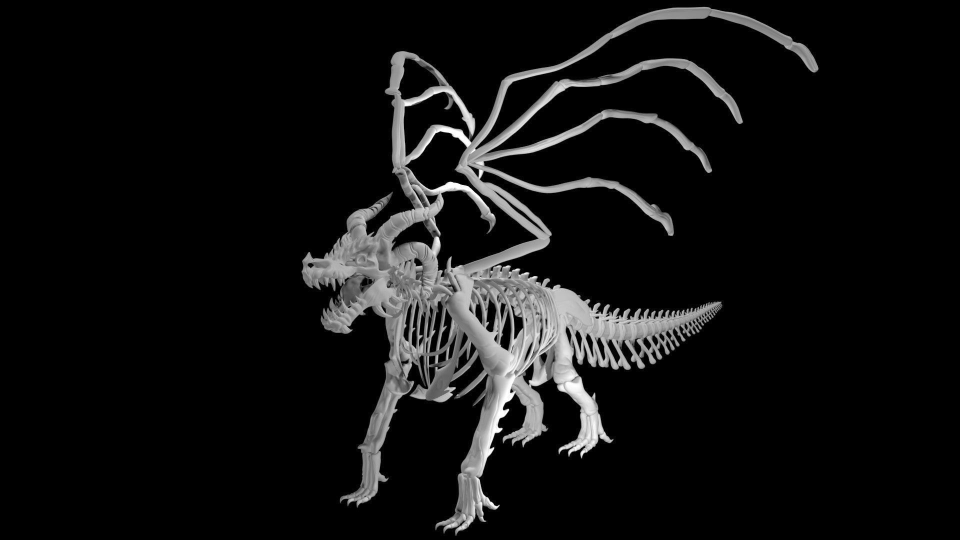Dragon skeleton Low-poly 3D model_4