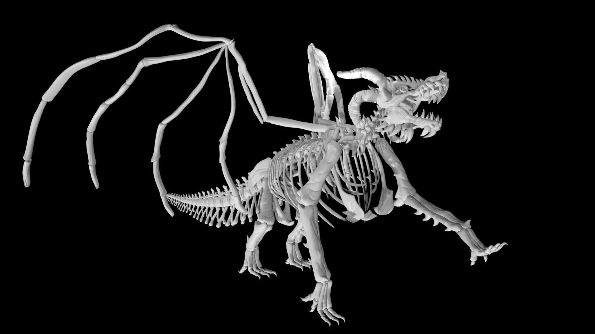 Dragon skeleton Low-poly 3D model_1