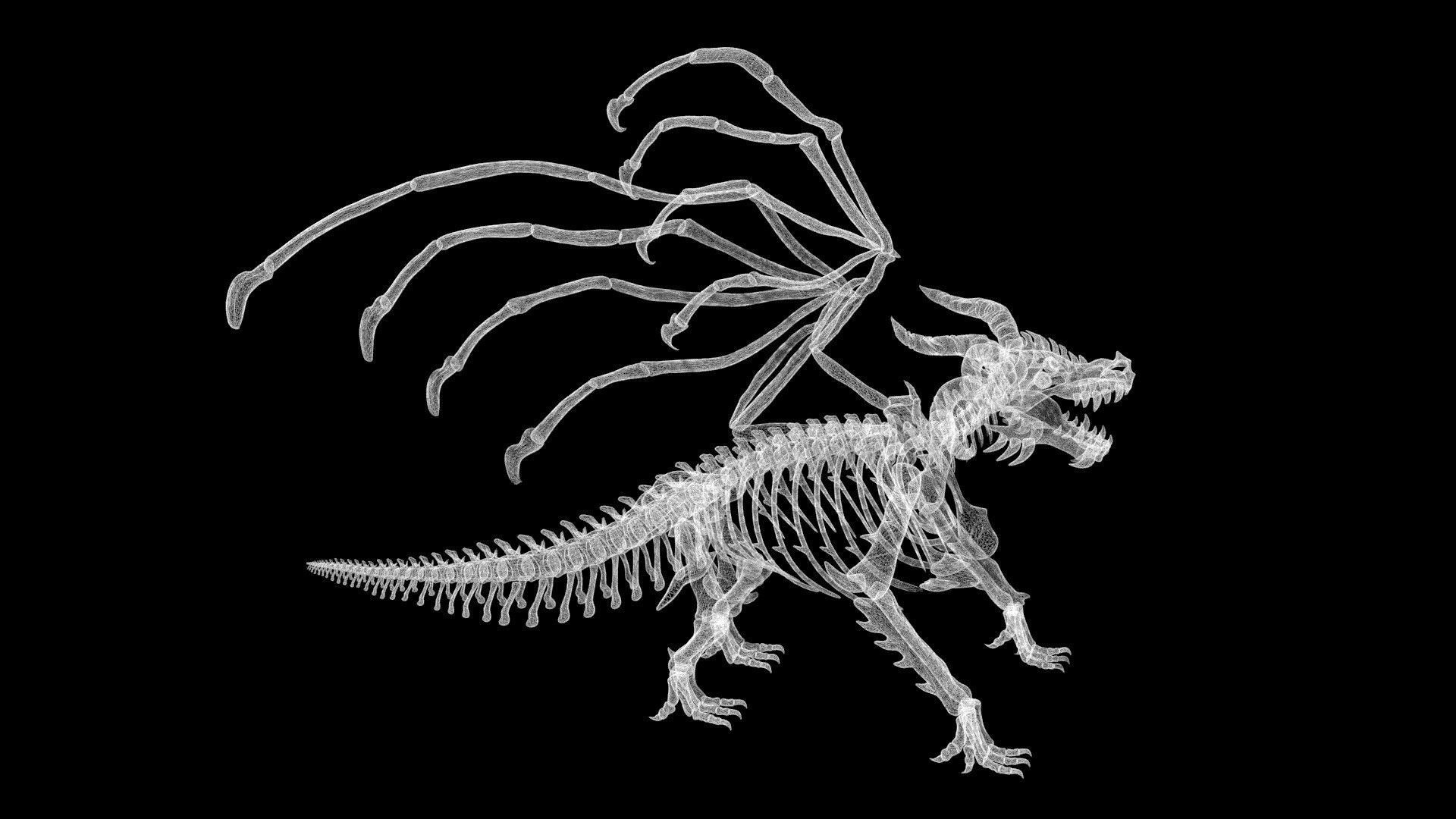 Dragon skeleton Low-poly 3D model_8