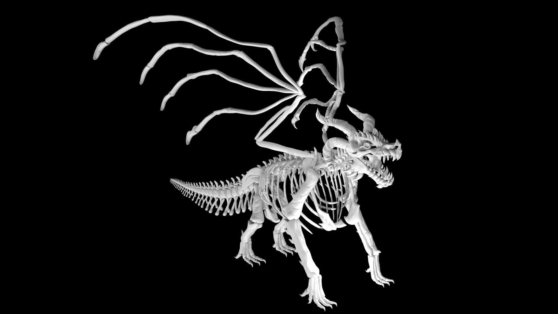 Dragon skeleton Low-poly 3D model_3