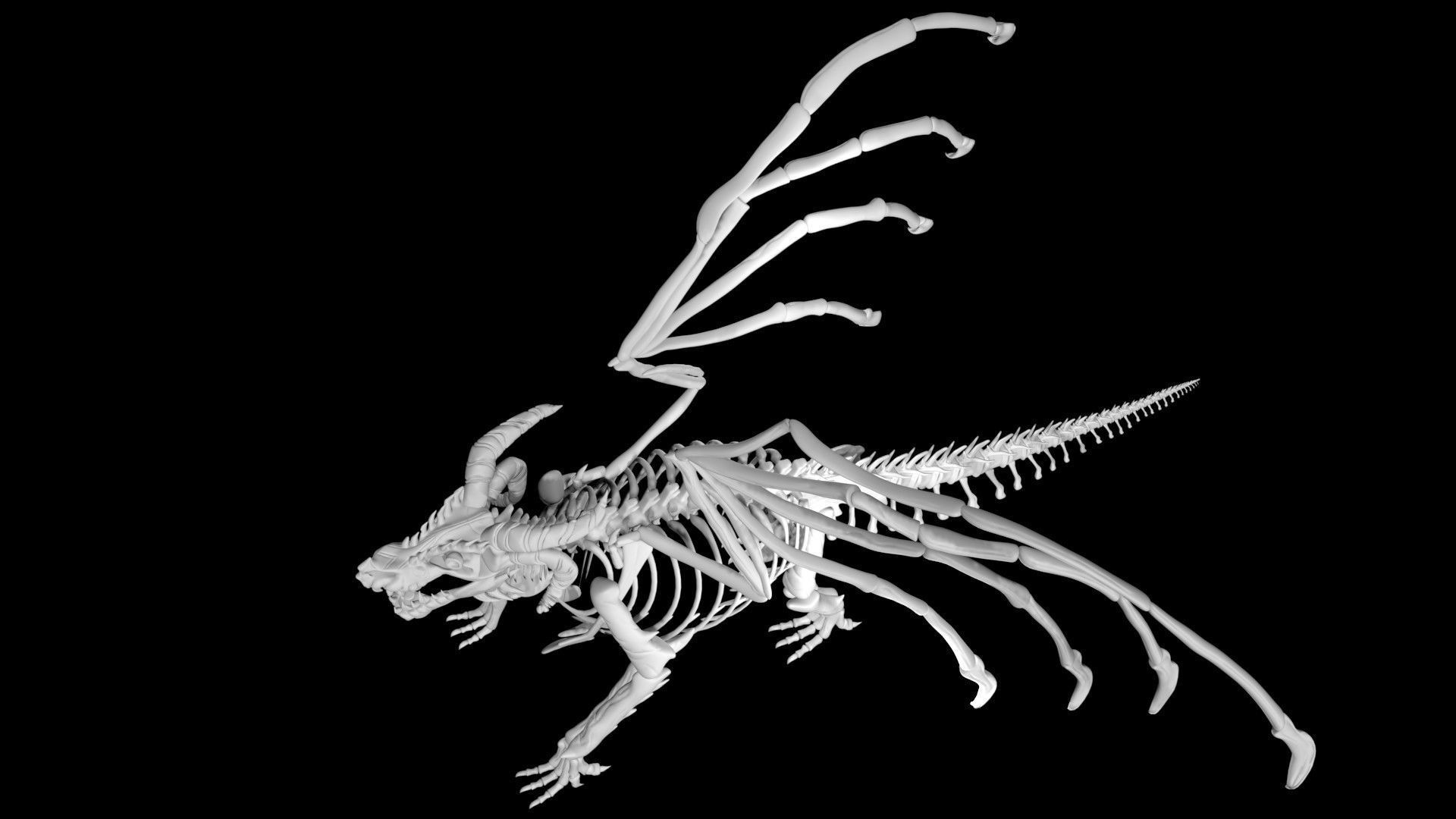 Dragon skeleton Low-poly 3D model_5