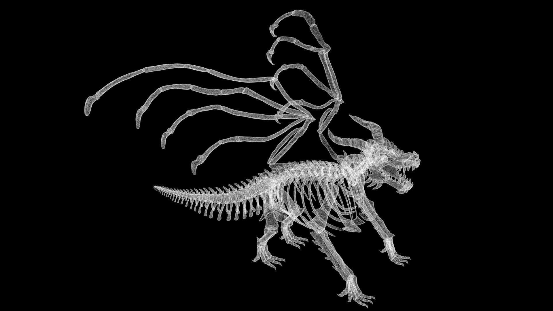 Dragon skeleton Low-poly 3D model_10