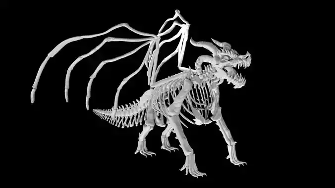 Dragon skeleton Low-poly 3D model