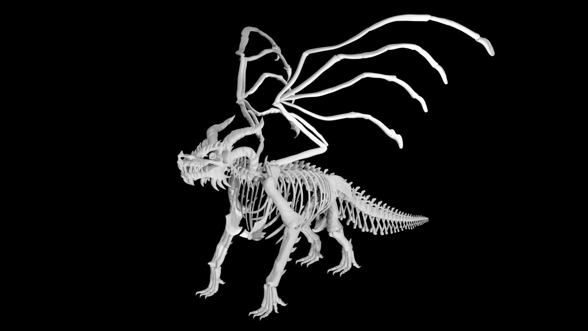 Dragon skeleton Low-poly 3D model_6