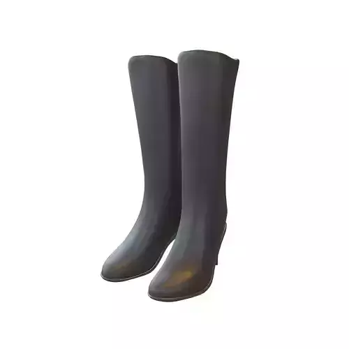 Knee Boots V1 001