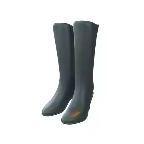 Knee Boots V1 008