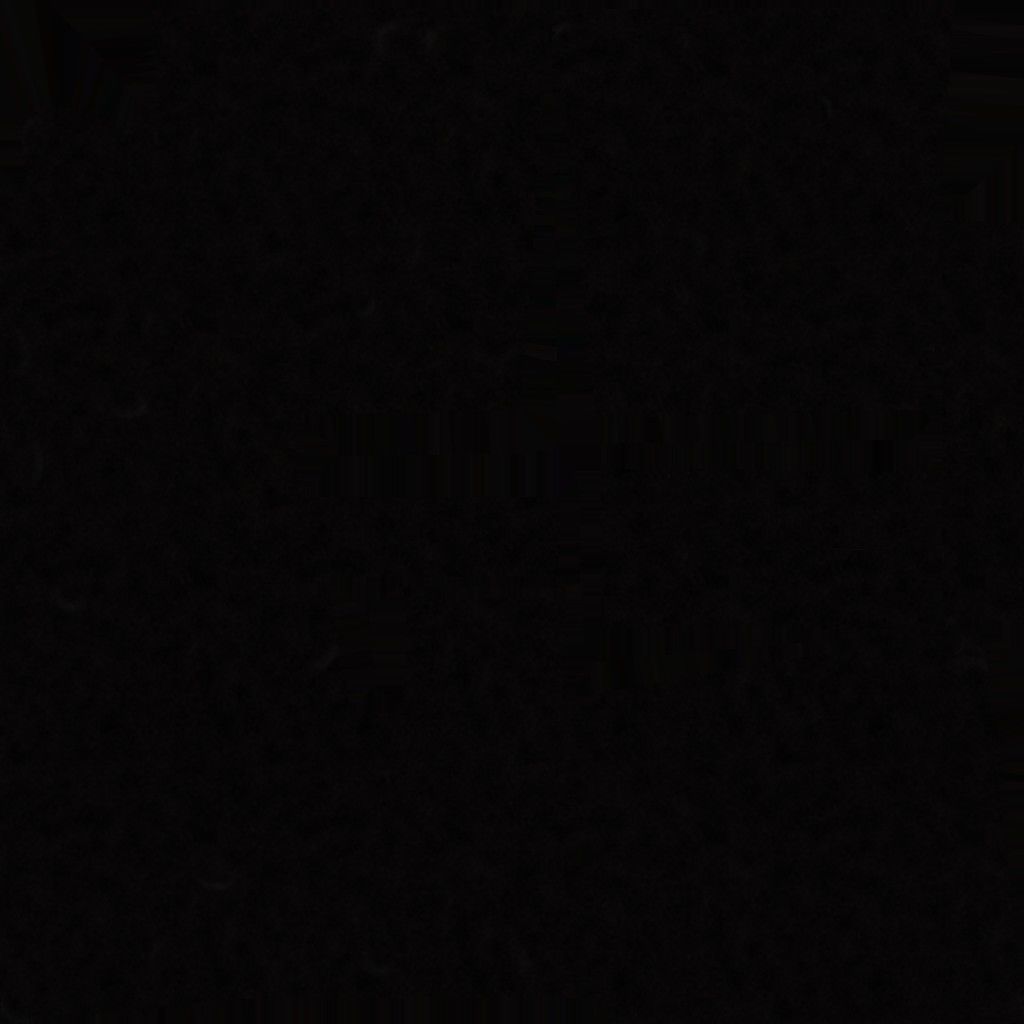 016 DALLAS SUNBED Low-poly 3D model_3