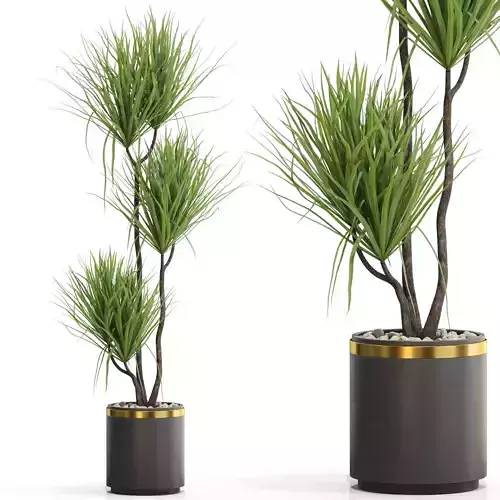 Plants collection 682 3D model