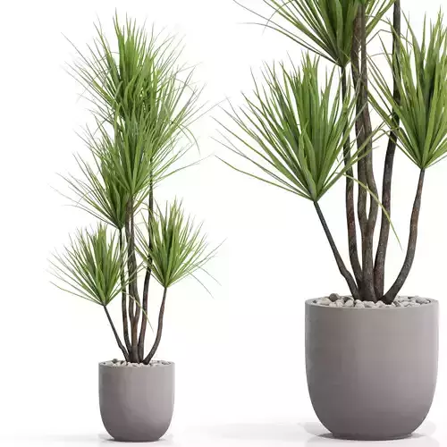 Plants collection 683 3D model