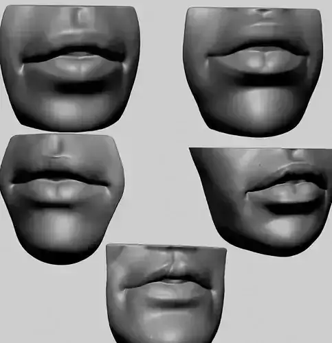Lip Models 3D model