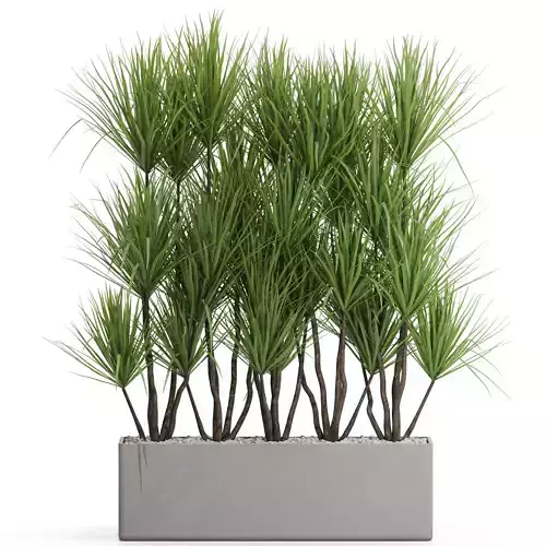 Plants collection 684 3D model