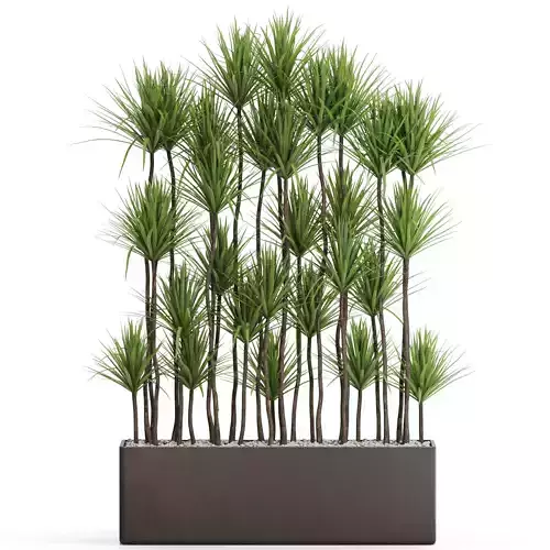 Plants collection 685 3D model