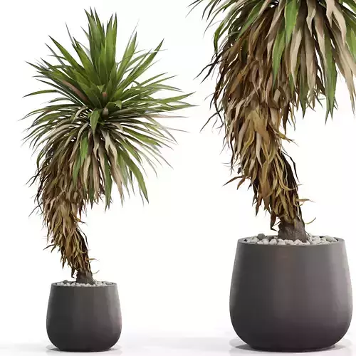 Plants collection 686 3D model